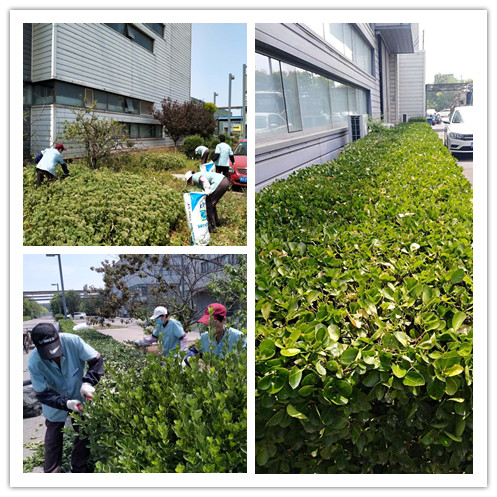image001_副本.jpg